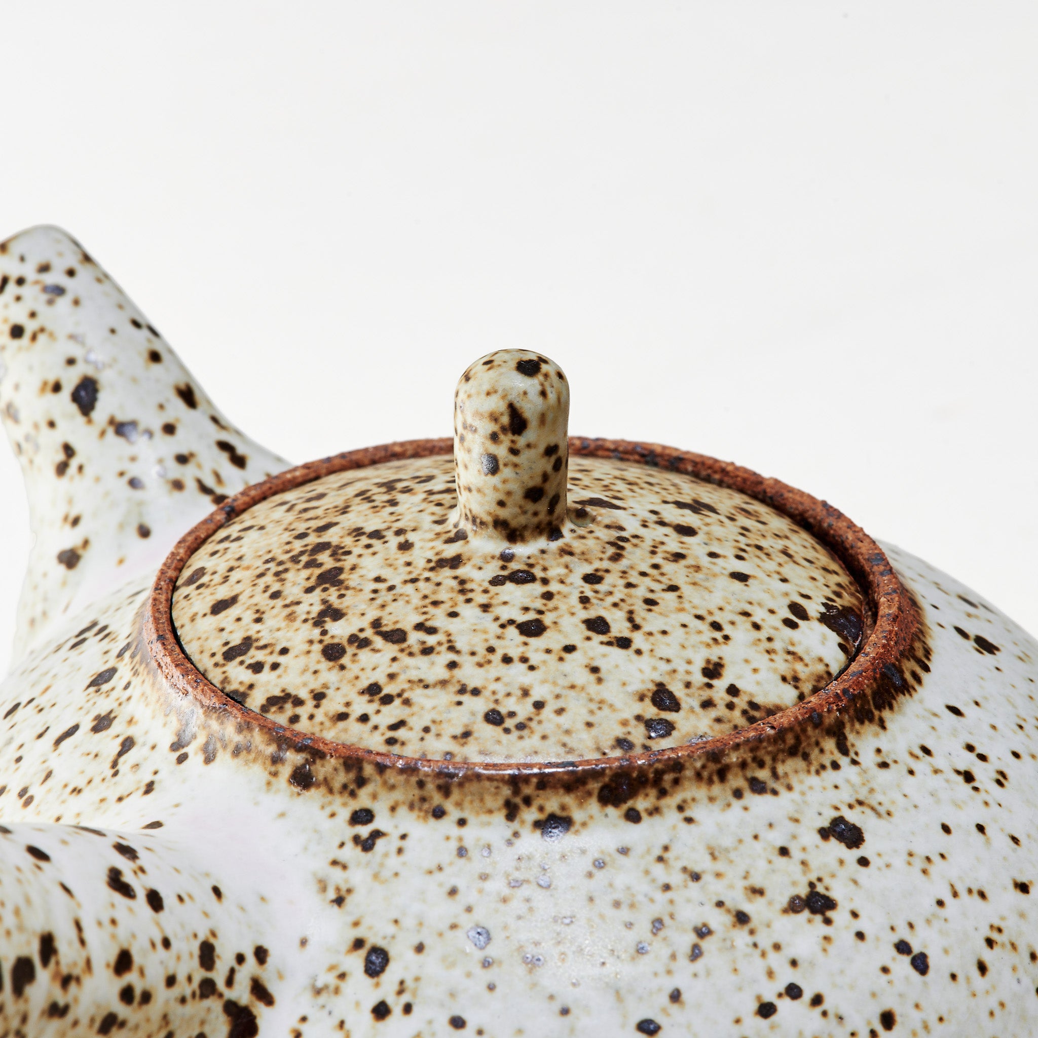 Quail Egg Ceramic side-handle teapot (475ML)