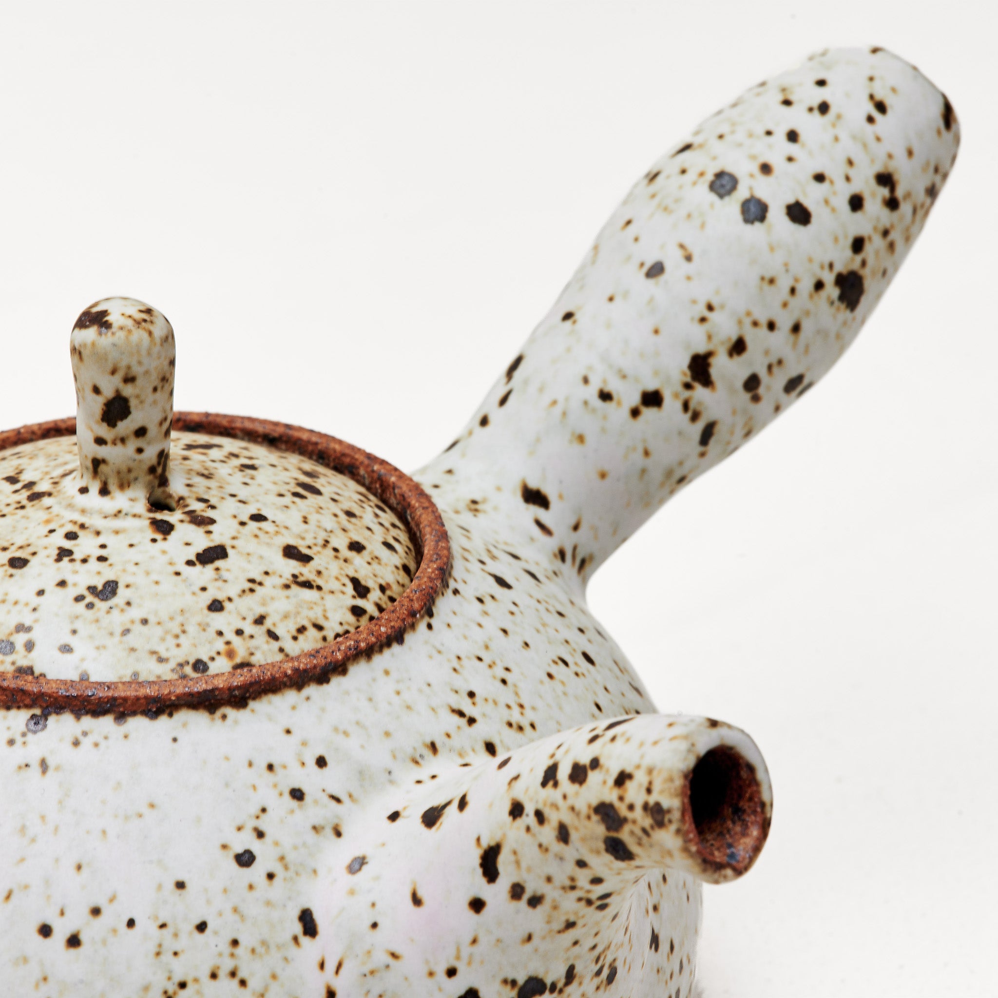 Quail Egg Ceramic side-handle teapot (485ml)