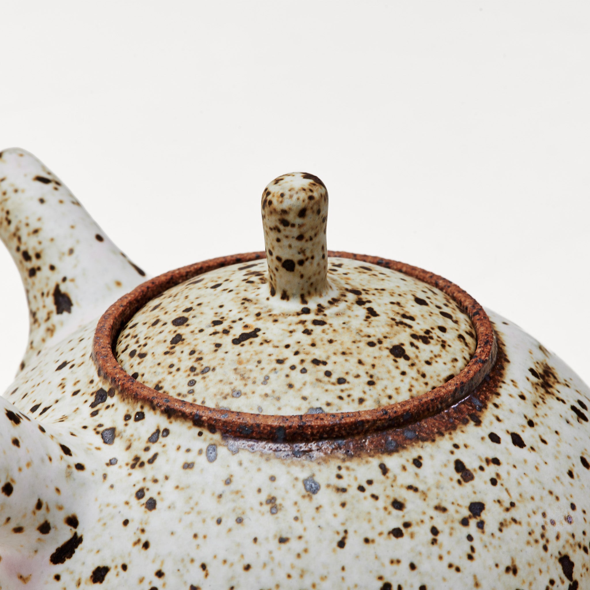 Quail Egg Ceramic side-handle teapot (485ml)
