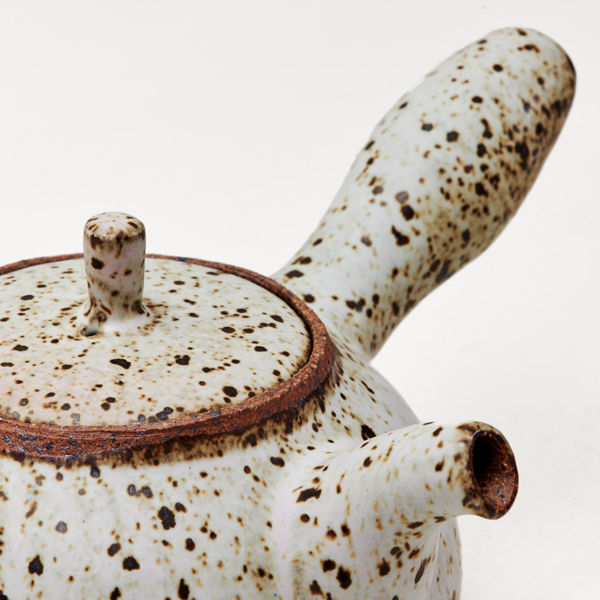 Quail Egg Ceramic side-handle teapot (550ml)