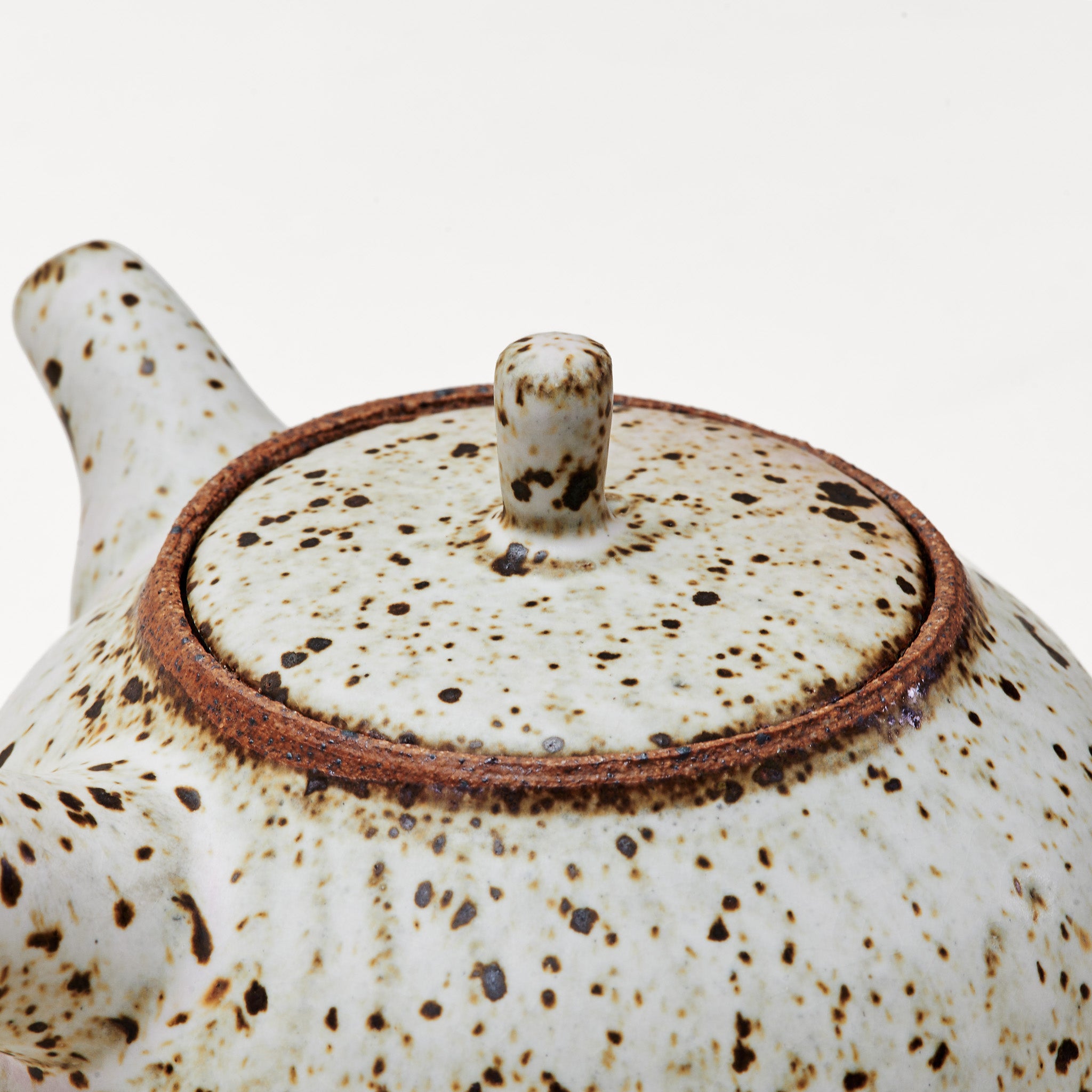 Quail Egg Ceramic side-handle teapot (550ml)