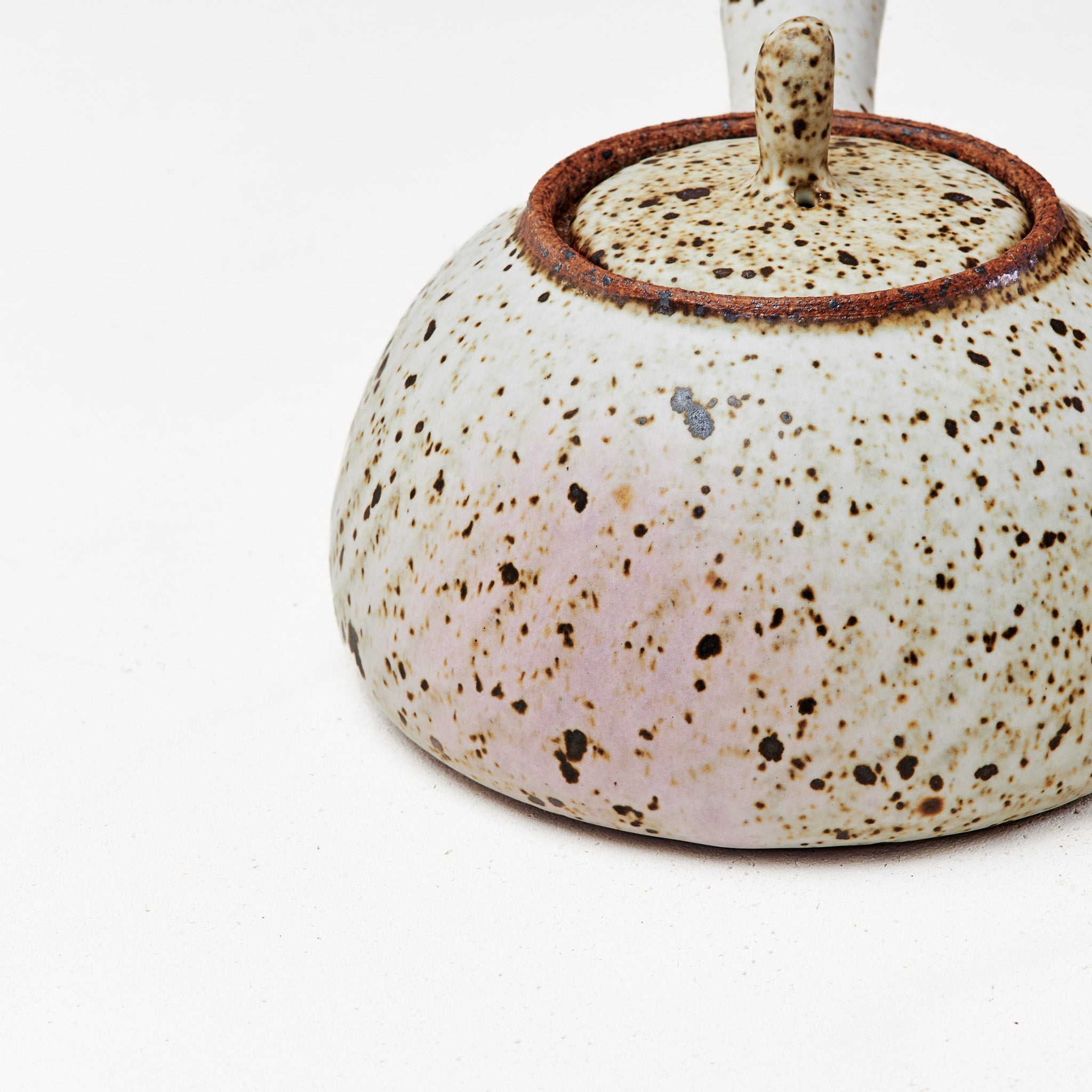 Quail Egg Ceramic side-handle teapot (545ml)