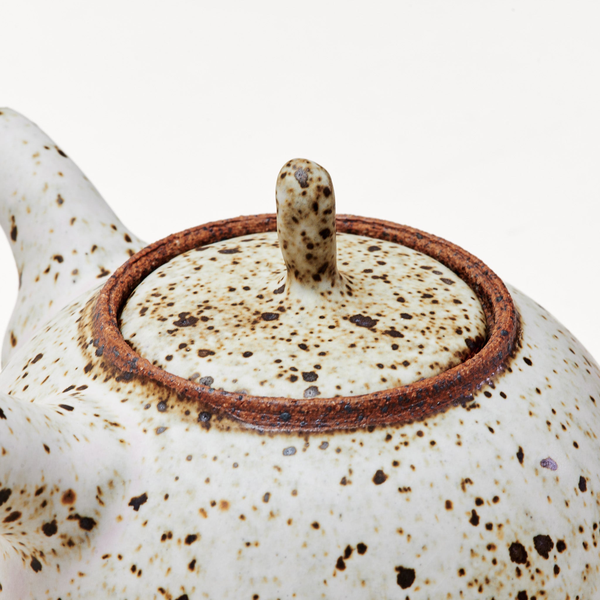 Quail Egg Ceramic side-handle teapot (545ml)