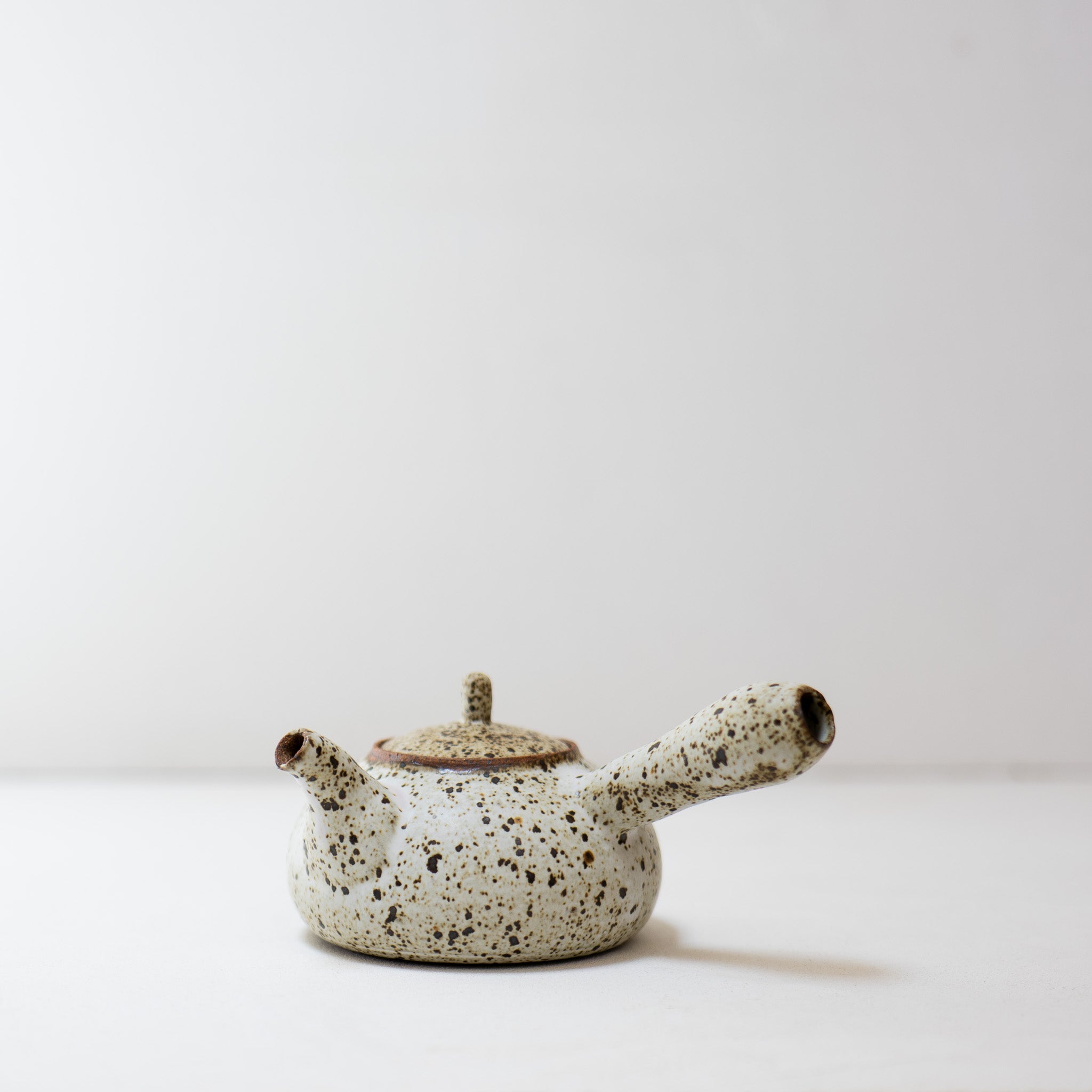Quail Egg Ceramic side-handle teapot (475ML)