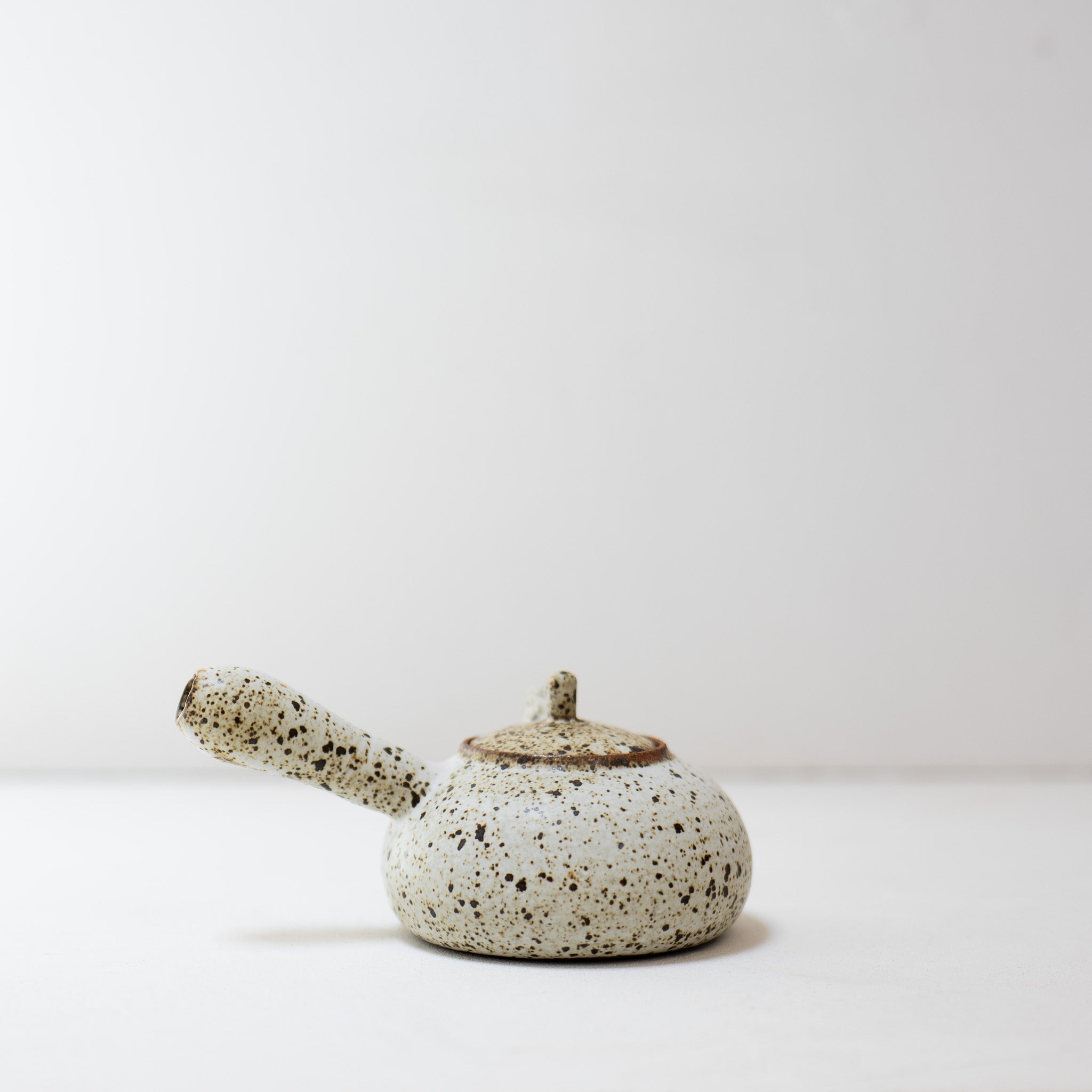 Quail Egg Ceramic side-handle teapot (475ML)