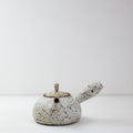 Quail Egg Ceramic side-handle teapot (485ml)
