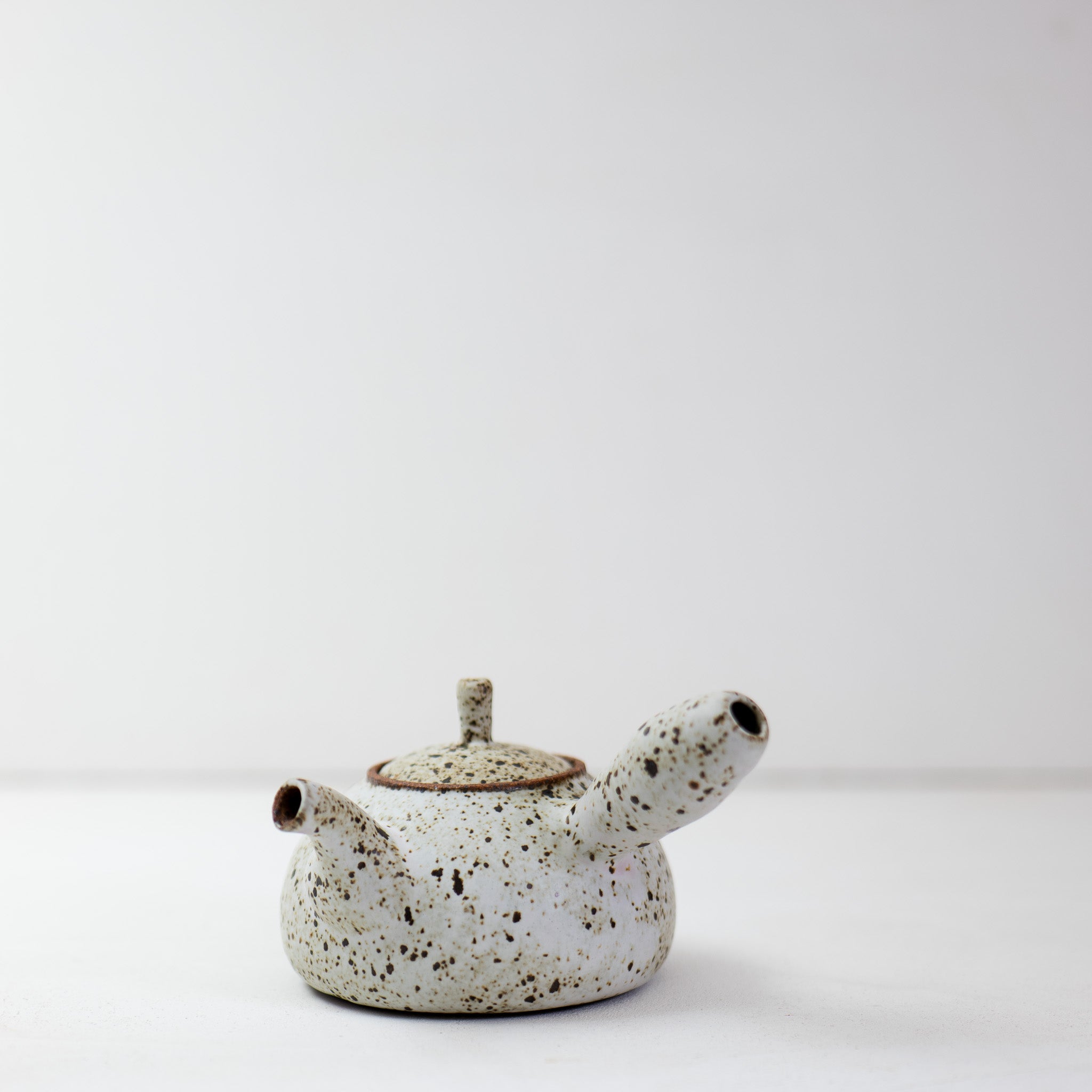 Quail Egg Ceramic side-handle teapot (485ml)