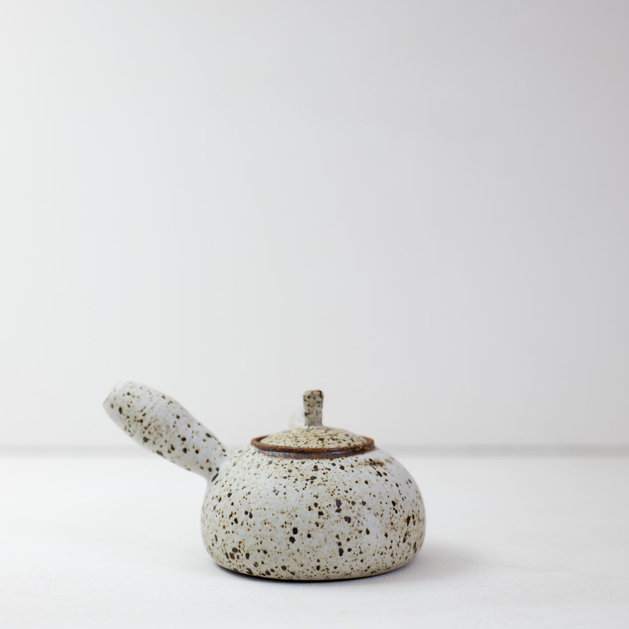 Quail Egg Ceramic side-handle teapot (485ml)