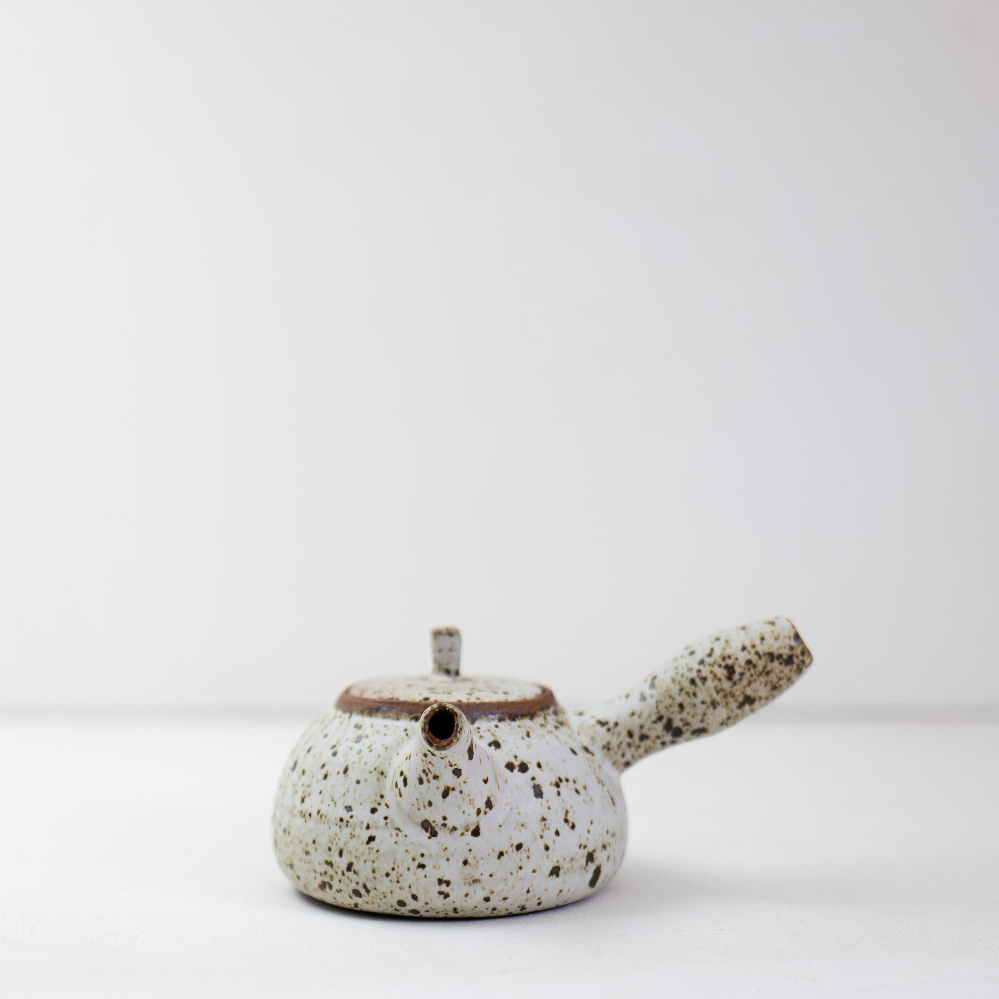 Quail Egg Ceramic side-handle teapot (550ml)