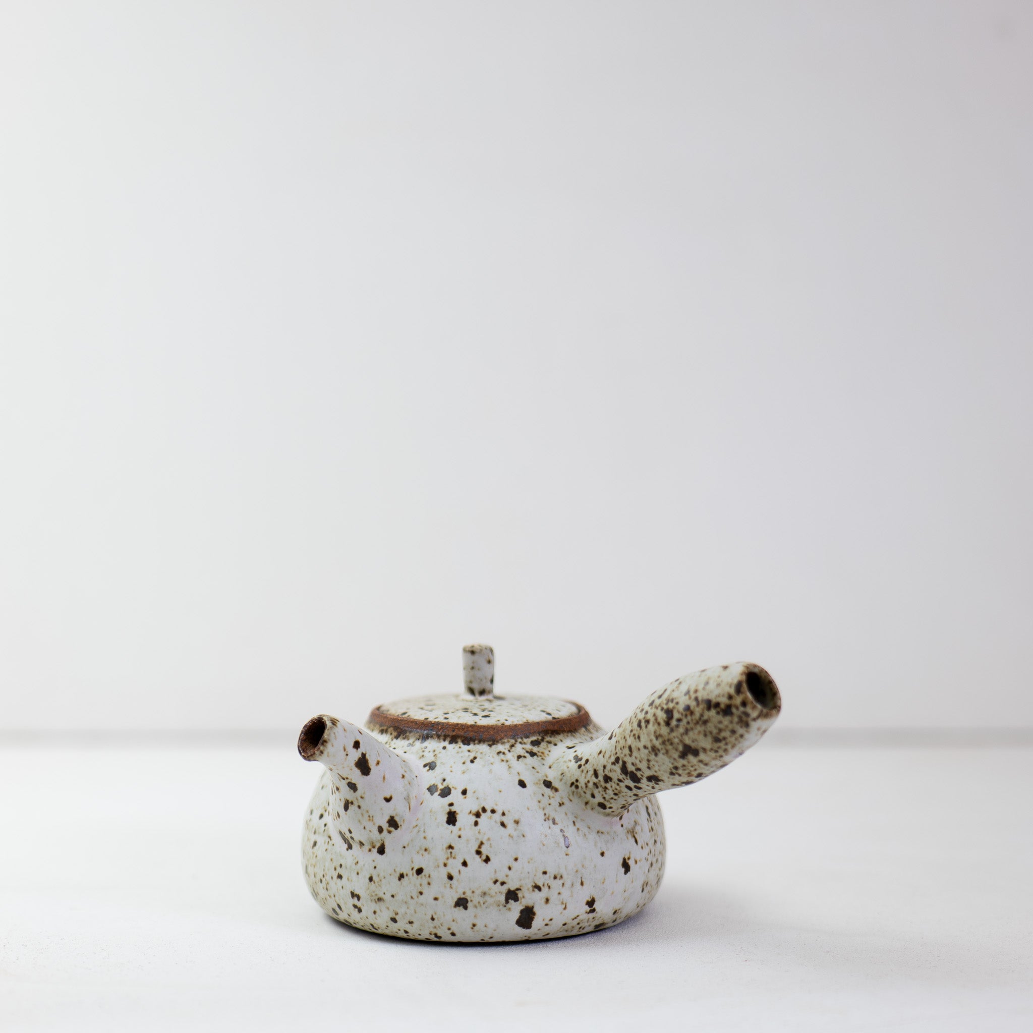 Quail Egg Ceramic side-handle teapot (550ml)