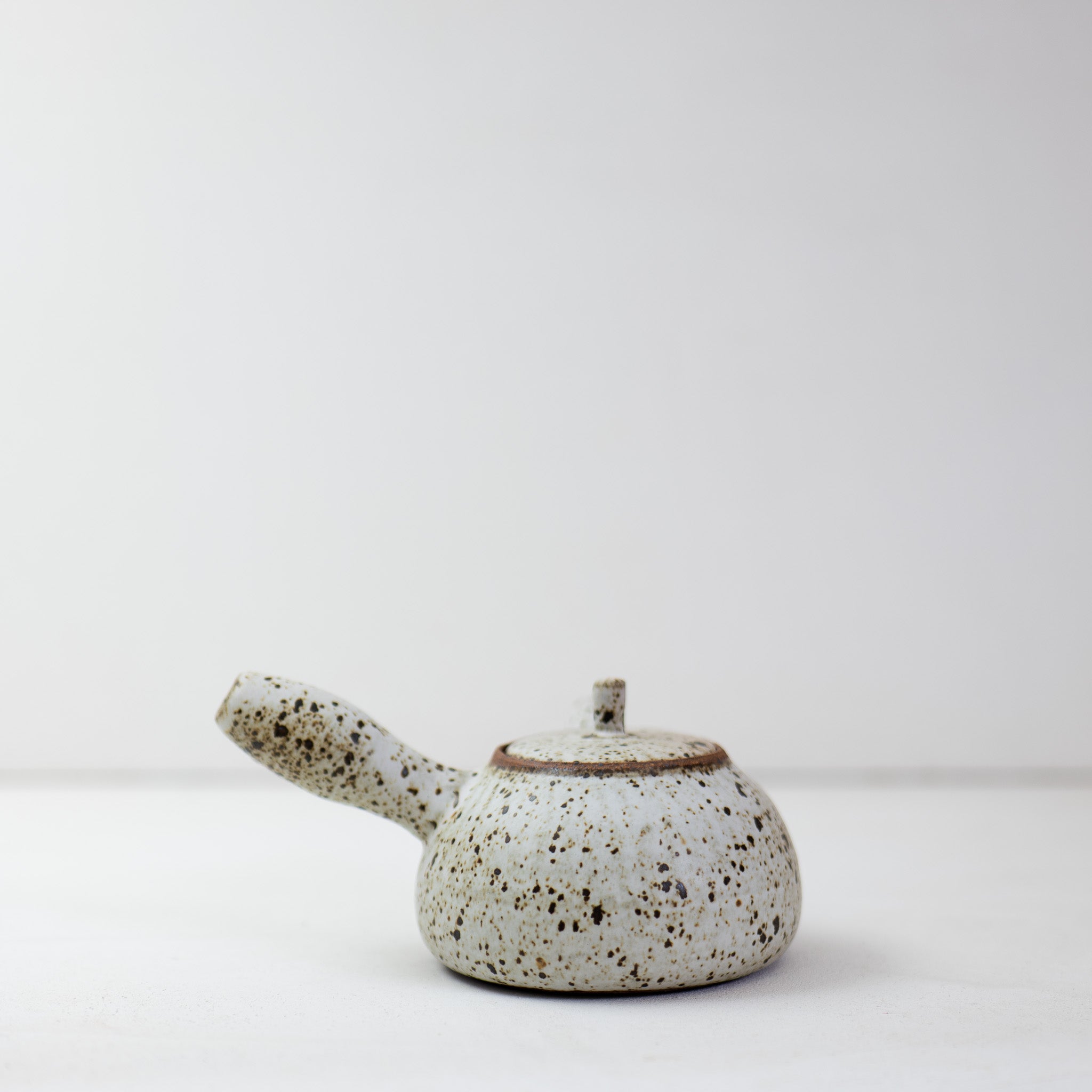 Quail Egg Ceramic side-handle teapot (550ml)