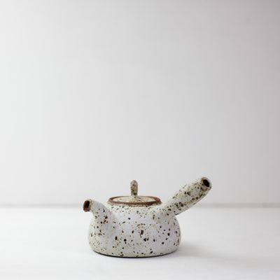 Quail Egg Ceramic side-handle teapot (545ml)