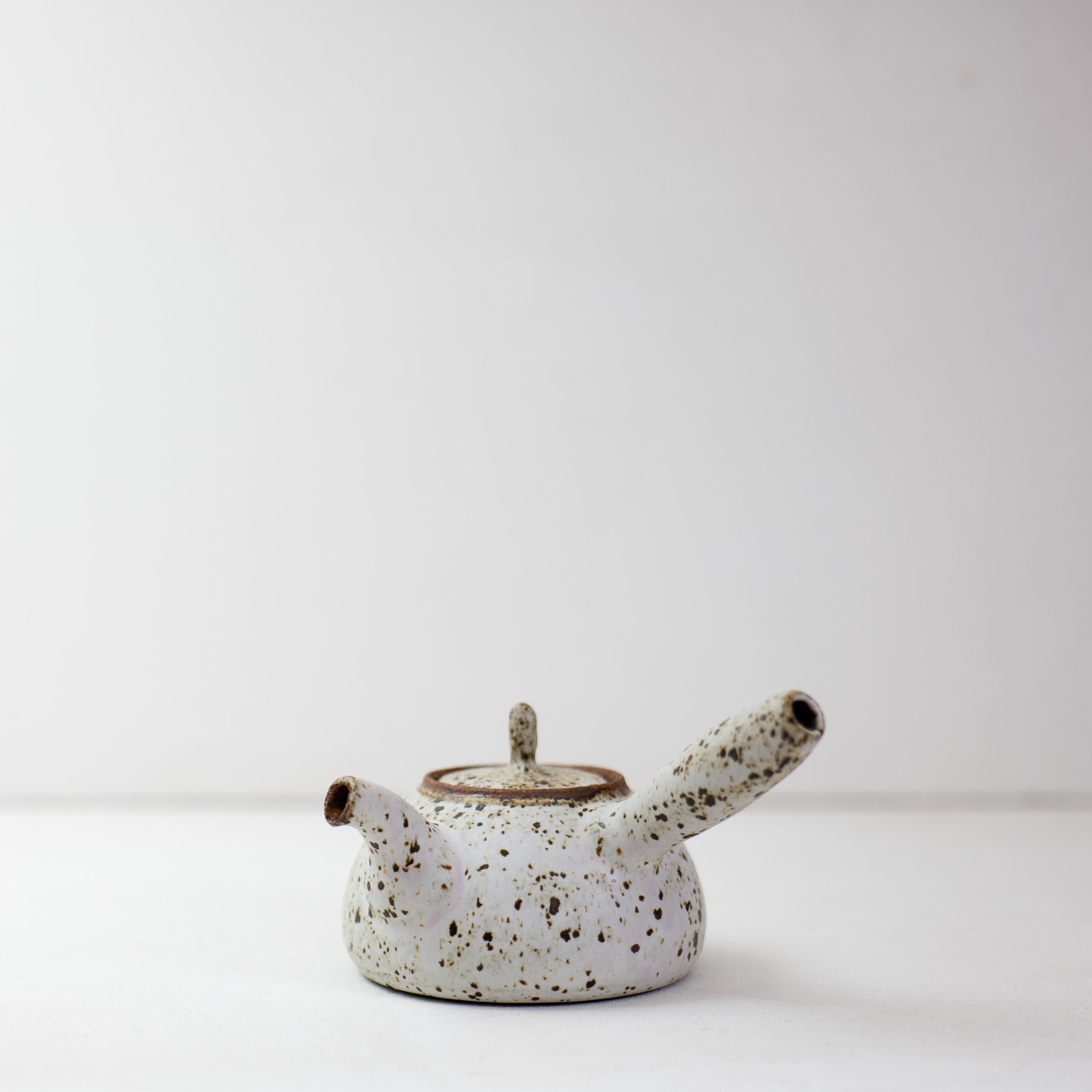 Quail Egg Ceramic side-handle teapot (545ml)
