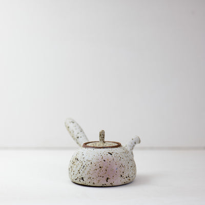 Quail Egg Ceramic side-handle teapot (545ml)