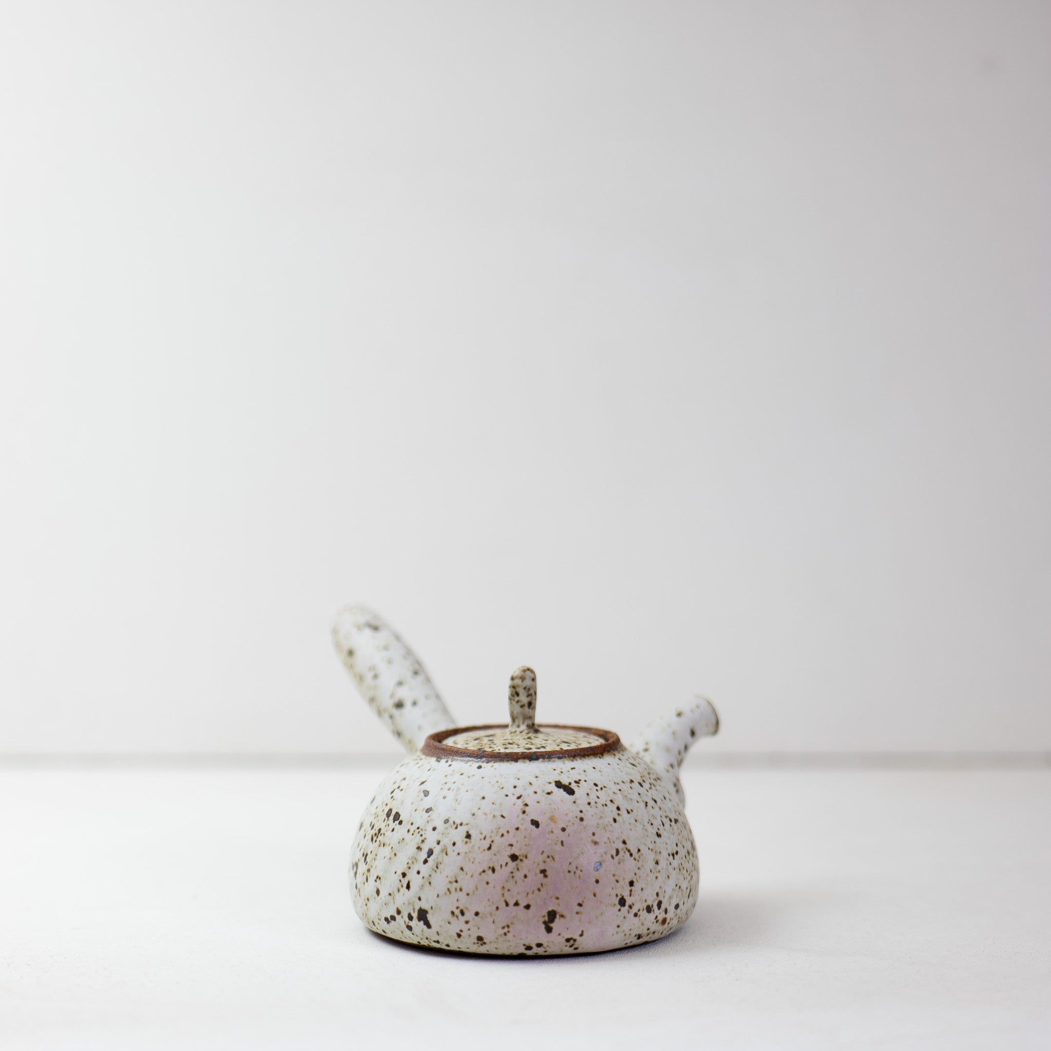 Quail Egg Ceramic side-handle teapot (545ml)