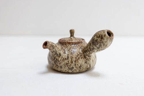 Quail Egg Ceramic side-handle teapot (225ml)
