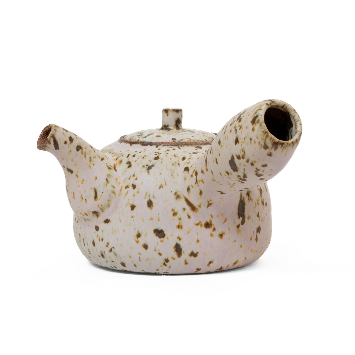 Quail egg Ceramic side-handle teapot (350 ml)